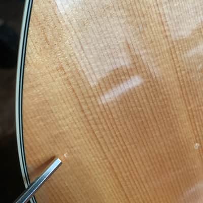 Alvarez AG60CE natural beautiful with B-band SYS550 under saddle transducer image 8