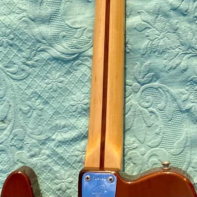 Fender Telecaster Custom 1973 - Walnut (Mocha) Bild 14