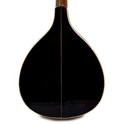 Flat-Back Mandolin Model Luxe Bruno Klemm 1890's / 1900's image 13