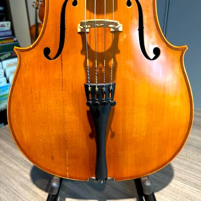 Student Cello: 1/2 Cello - Segue Concertino Plus 2016 - Oil varnish image 7