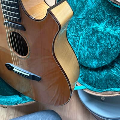 Parker P8E-N acoustic with case US CUSTOMERS TARIFF FRES ARE iNCLUDED IN SHIPPING COST AND PREPAID. image 3
