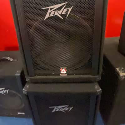 Peavey 115TLS Passive Speaker (Nashville, Tennessee) image 1