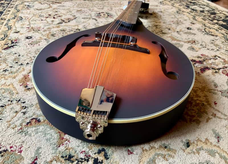 Eastman MD305E with Pickup image 1