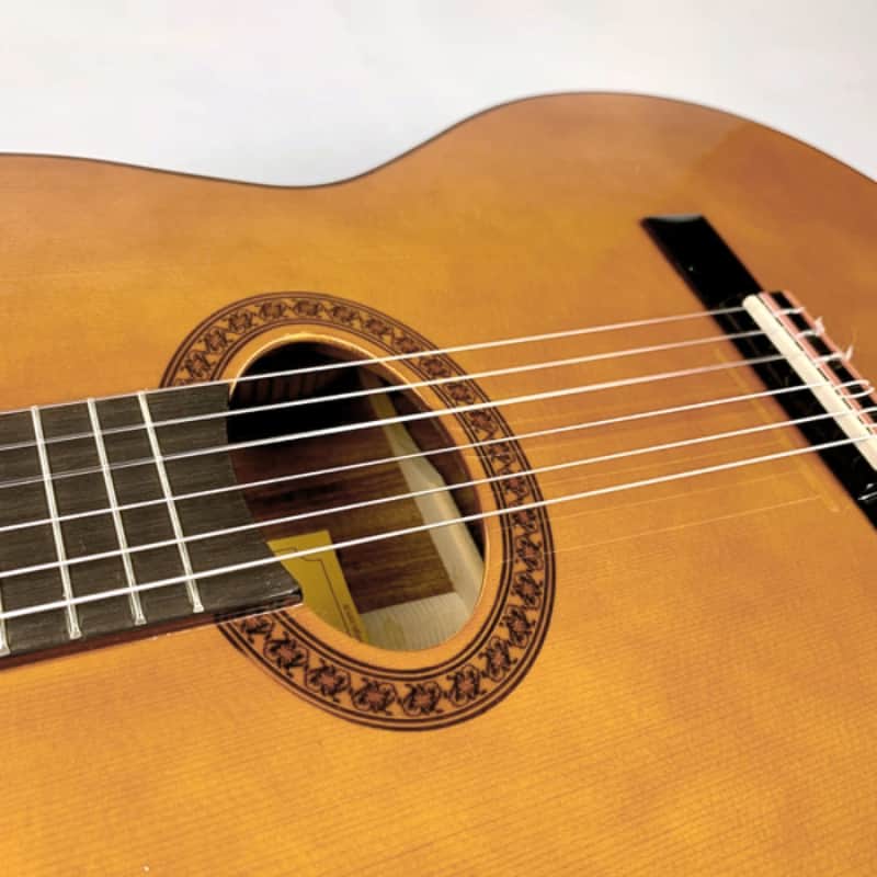 Di Giorgio Tarrega ボサノバギター　1993年製 Di Giorgio Tarrega Beautiful Bossa Nova Classical Guitar with bag