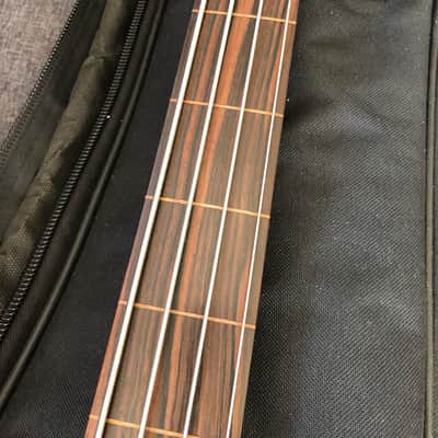 Carl Thompson Bass image 11