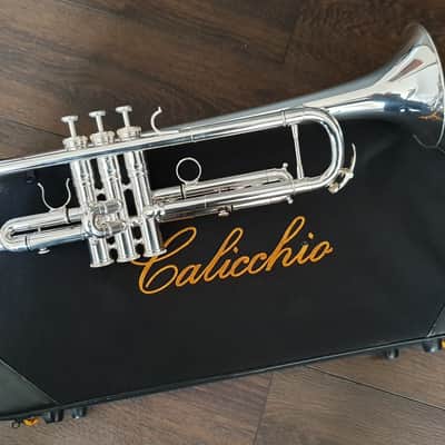 D. Calicchio DT-S1s/3M Dave TRIGG Model | Gamonbrass trumpet image 1