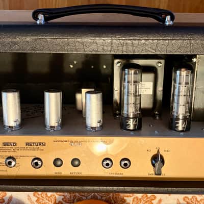 Egnater 50W Seminar Head? 2010’s - Black & Gold image 3