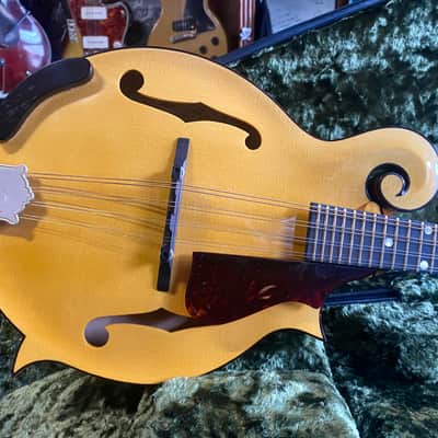 Dudenbostel 1-F Mandolin (Only One Made!) 2021 image 2