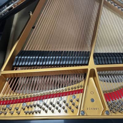 Steinway Model O 5'10" Grand Piano 1921 (Restored) - Satin Ebony image 17