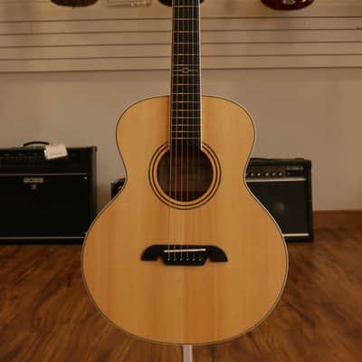 Alvarez LJ2 with Gig Bag Natural/Satin image 2