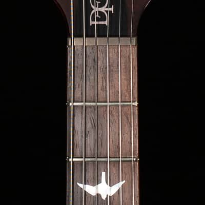 PRS Wood Library DGT Gold Top Brazilian (228) image 5