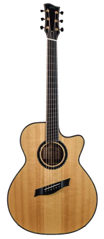 BSG GA45CF Fan Fret Recent image 1
