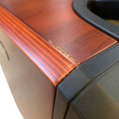 LR Baggs SYNAPSE image 3