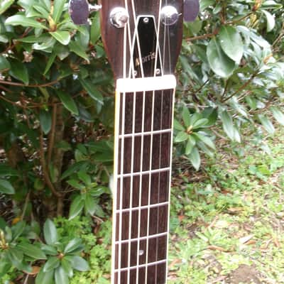 1974 Terada made Morris W25 Humming Bird Style image 4