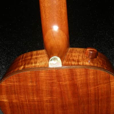 Custom Pegasus '12 String' Guitar - Ukulelefriend.com image 8