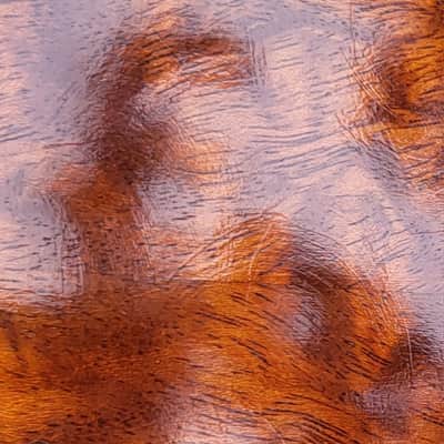 "THE TREE" Mahogany Dillard OM Acoustic Guitar 2023 image 22