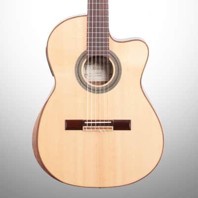 Alvarez Cadiz Classical Armrest Acoustic-Electric Guitar image 1