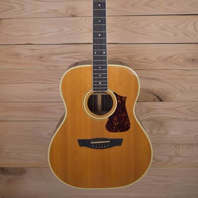 Fender LS-20 90's - East Indian Rosewood/Spruce image 1