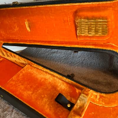 Ess & Ess guitar case image 20