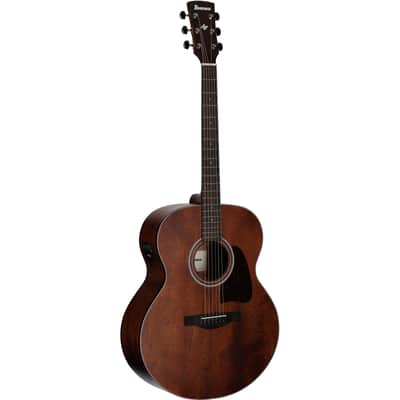 Ibanez AJ54E Artwood Acoustic-Electric Guitar, Open Pore Natural image 6