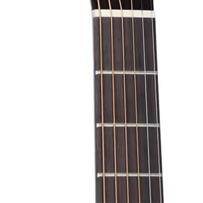 Takamine Garth Brooks GB7C image 3