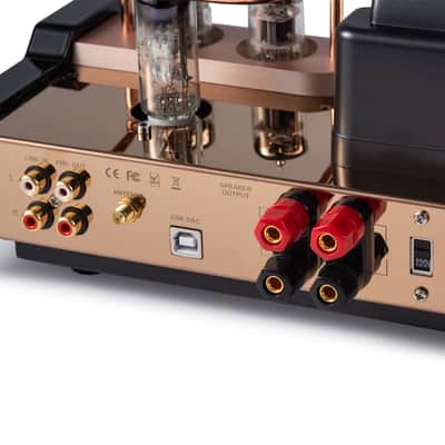Dared mp5bt - Hybrid Tube Amplifier USB/DAC, Bluetooth Input, Headphone Output, Output Power 25 watts image 5