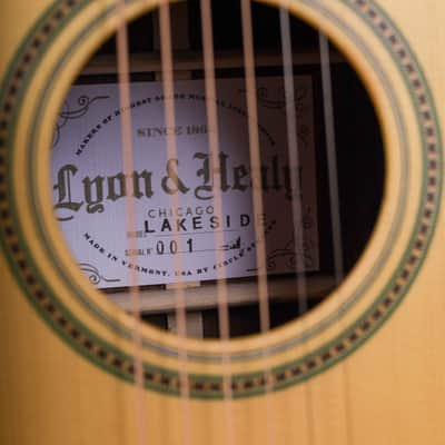 Lyon & Healy Lakeside Parlor - Indian Rosewood #001 image 6