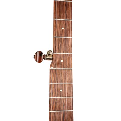 OME Tupelo Openback Banjo image 6
