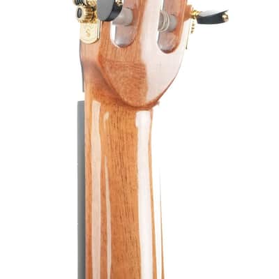 Mach Concert Standard Spruce Rosewood image 6