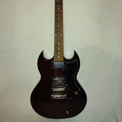 Jay Turser JT50 Set Neck Very Solid Guitar image 1