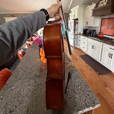 Eastman VC95 1/2 Size Cello | Excellent Condition | Professionally Inspected image 4