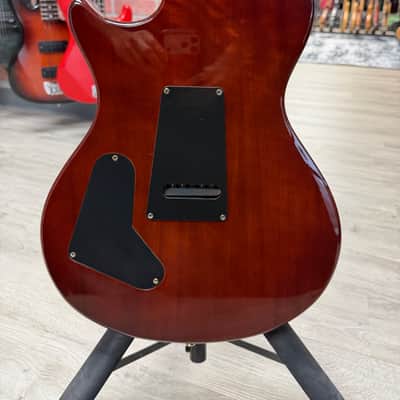 PRS SE Mikael Akerfeldt 2010 - 2014 - Tortoise Shell image 3