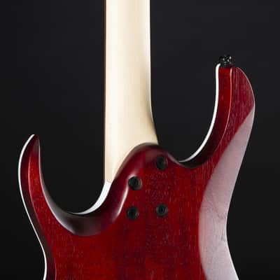 Ibanez Standard RGA42FM-TGF Transparent Gray Flat - Electric Guitar image 8