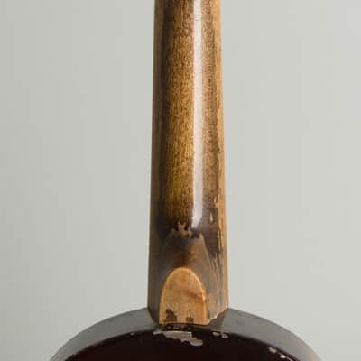 National  Triolian Resophonic Mandolin (1930), ser. #503W, gig bag case. image 9