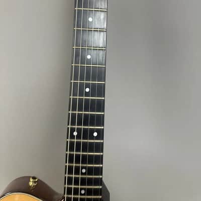 Carvin AE185 2001 image 3