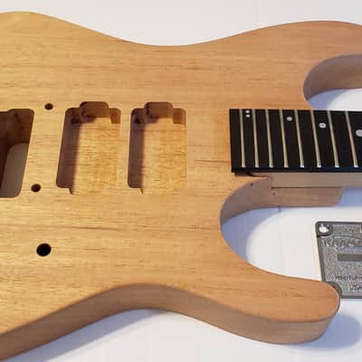 Kramer Nightswan Project guitar.  V.C. Signed, Vintage original 1980's neck, aged custom USA body. image 1