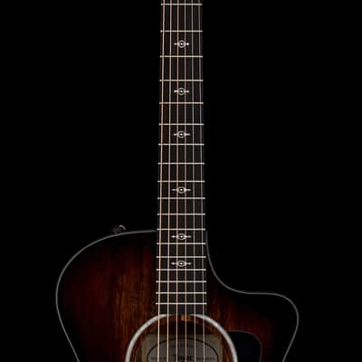 Taylor 222ce-K DLX #06475 image 5