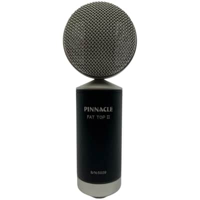 Pinnacle Microphones Fat Top II Ribbon Mic Pair, Black, Pair image 2