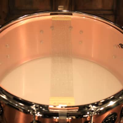 DW Performance Series 5.5X14 Thin Copper Snare Drum - New! image 6