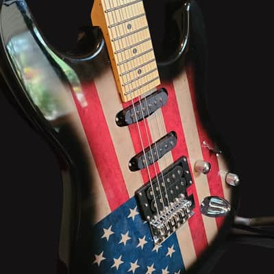Southwest Acoustics Stratocaster American Flag Model /Assembled in US/Full Professional Set up image 3