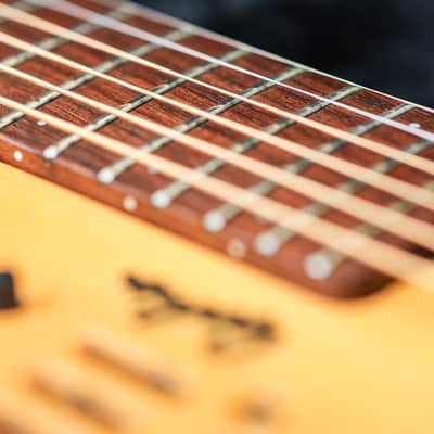 Godin Multiac Steel Duet Ambiance | Natural image 12