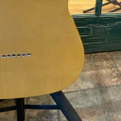 Fender American Pro Classic Hotshot Telecaster in Butterscotch Blonde w Logo Bag image 20