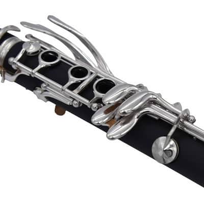 Immagine L.A. Ripamonti 60-1R - 3