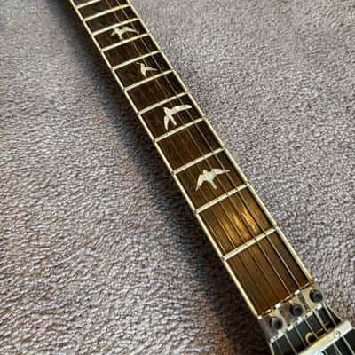 PRS SE Floyd Custom 24 image 4