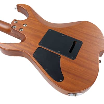 Vola Guitars OZ ROA Sand Blasted White MC Neck White MIJ image 4
