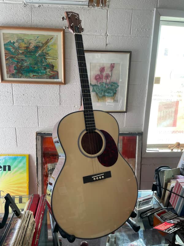 Gold Tone TG-10 Tenor 2010s - Natural image 1
