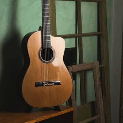 Made to order Handmade Guitar Crossover Solid Woods Brazil French Polish image 11