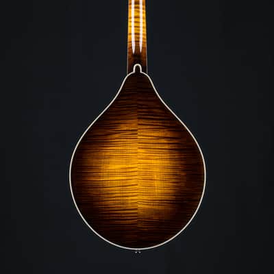Collings MT2 Mandola Sunburst Adirondack Spruce and Flamed Maple NEW image 3