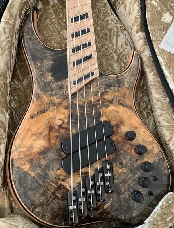 Dingwall  Z2 5 String Bass image 1