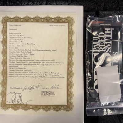 PRS Private Stock 11088 Custom 24-08 Birds of Flight Whale Blue Fade (419) image 8
